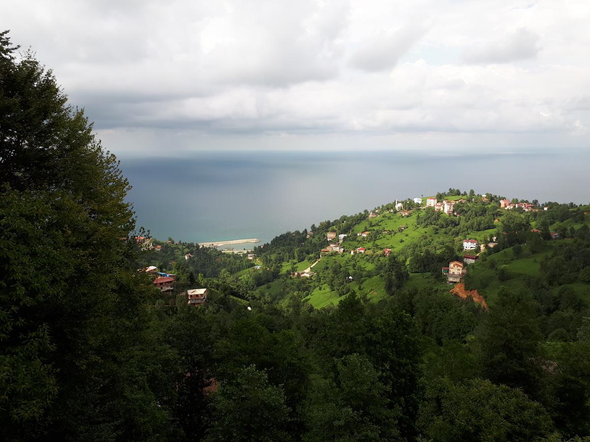 Kaf Dagi Konak Hotel Rize Bagian luar foto